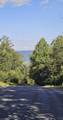 Lot 561 Bluff View Drive - Photo 14