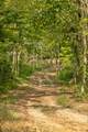 8 Sturgeon Creek Road - Photo 25