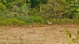 10 Sturgeon Creek Road - Photo 10