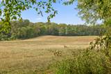 10 Sturgeon Creek Road - Photo 18
