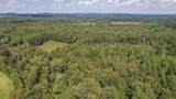 80.93 Acre Wright Lane - Photo 11