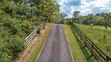 80.93 Acre Wright Lane - Photo 16
