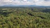 80.93 Acre Wright Lane - Photo 4