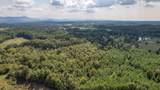80.93 Acre Wright Lane - Photo 5