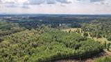 80.93 Acre Wright Lane - Photo 6
