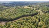 80.93 Acre Wright Lane - Photo 7