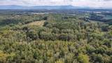 80.93 Acre Wright Lane - Photo 8