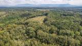80.93 Acre Wright Lane - Photo 9