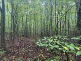 Tract 14-14 Saw Mill Road - Photo 11