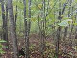Tract 14-14 Saw Mill Road - Photo 12