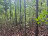 Tract 14-14 Saw Mill Road - Photo 3