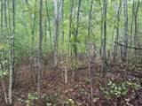 Tract 14-14 Saw Mill Road - Photo 5
