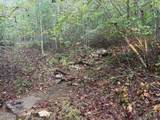 Tract 14-14 Saw Mill Road - Photo 6