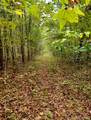 3688 Straight Gut Road - Photo 22