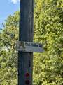 00-Lot 1 Owl Hollow Road - Photo 10