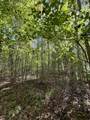 00-Lot 1 Owl Hollow Road - Photo 3