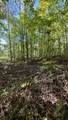 00-Lot 1 Owl Hollow Road - Photo 7