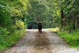 100 Ac Mill Dam Road - Photo 31