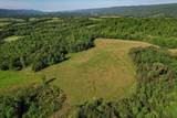 100 Ac Mill Dam Road - Photo 7