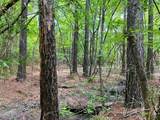 Lot 3 Highway 304 - Photo 10
