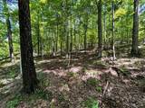 Lot 3 Highway 304 - Photo 13