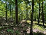 Lot 3 Highway 304 - Photo 15