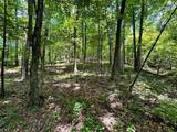 Lot 3 Highway 304 - Photo 21