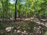 Lot 3 Highway 304 - Photo 26
