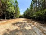 Lot 2 Highway 304 - Photo 7