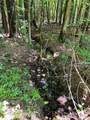 Lot 1 Highway 304 - Photo 11