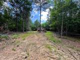 Lot 1 Highway 304 - Photo 16