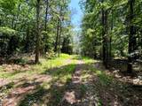 Lot 1 Highway 304 - Photo 7