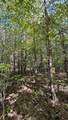 Oo-Lot 9 Owl Hollow Road - Photo 4