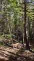 Oo-Lot 9 Owl Hollow Road - Photo 6