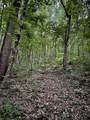 0 Cove, Lot 64 Trail - Photo 7