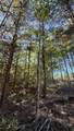 00-Lot 10 Owl Hollow Road - Photo 1