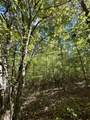 00-Lot 10 Owl Hollow Road - Photo 12