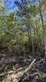 00-Lot 10 Owl Hollow Road - Photo 4