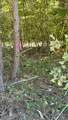 00-Lot 10 Owl Hollow Road - Photo 5