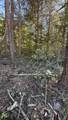 00-Lot 10 Owl Hollow Road - Photo 8