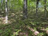Lot 22 Van Davis Road - Photo 3