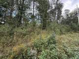 0 Longleaf Drive - Photo 3