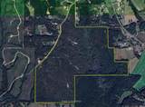 243 Acres Wilson Road - Photo 1
