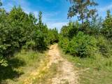243 Acres Wilson Road - Photo 10