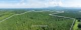 243 Acres Wilson Road - Photo 2