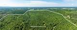 243 Acres Wilson Road - Photo 4
