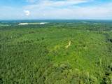 243 Acres Wilson Road - Photo 5