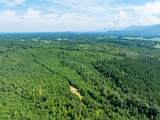 243 Acres Wilson Road - Photo 8