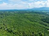 243 Acres Wilson Road - Photo 9