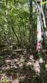 0-Lot 2 Owl Hollow Road - Photo 4